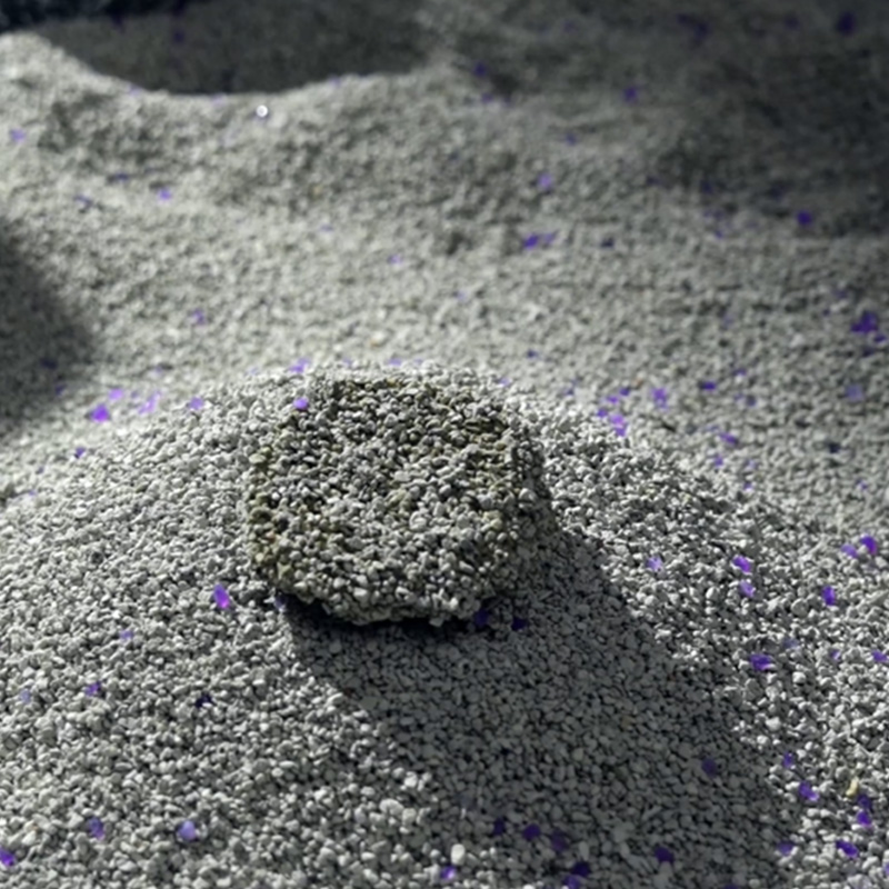 Parhaan mineraalikissanhiekan valitseminen: käytännön vinkkejä puhtaampaan kotiin